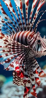 Vibrant lionfish swimming in the ocean.