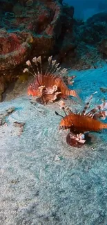 Vibrant lionfish swimming in a colorful underwater coral reef scene.