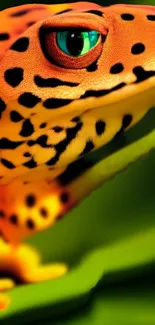 Vibrant lizard with orange skin and teal eyes on a green leaf.