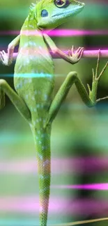 Green lizard on a dynamic neon background mobile wallpaper.