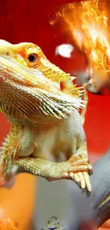 Bearded dragon with fiery background art.