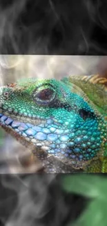 Vibrant green lizard with smoky background wallpaper.