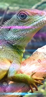 Vibrant green lizard on a branch in a nature scene.