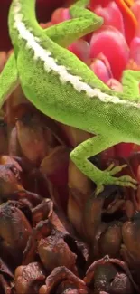 Bright green lizard on red exotic flower wallpaper.