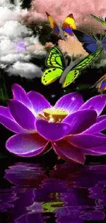 Purple lotus and colorful butterflies on a dark background.