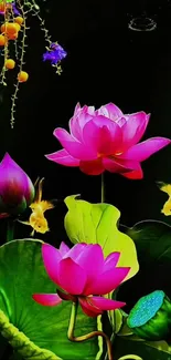 Vibrant lotus artwork with colorful fish