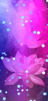 Vibrant pink lotus flower on a colorful background.