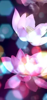 Vibrant lotus flowers with bokeh pattern.