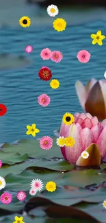 Vibrant wallpaper with lotus flowers and colorful blossoms on water.