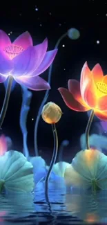 Vibrant lotus flowers glowing in a serene night water scene.