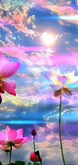 Vibrant sky with pink lotus flowers, colorful and serene.