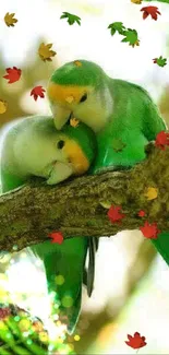 Two vibrant lovebirds perched on a tree branch amidst green foliage.