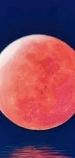 Red moon against a deep blue sky, perfect for celestial enthusiasts.