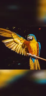 Vibrant yellow and blue macaw perched on a branch.