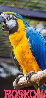 A vibrant macaw parrot perches on a branch.