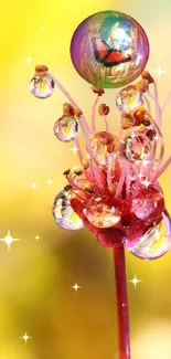 Macro view of a delicate flower with shimmering water droplets, set against a yellow background.