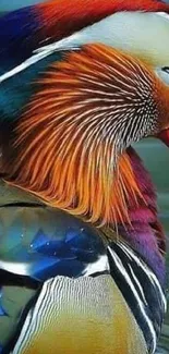 Mandarin duck with vibrant plumage on water.