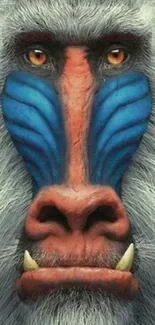 Vibrant mandrill face closeup with blue and gray hues.