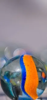 Close-up shot of vibrant orange and blue marbles with a bokeh background.