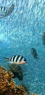 Underwater scene with vibrant fish and coral reef.