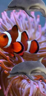 Clownfish and dolphins swimming in colorful anemones underwater.