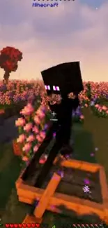 Minecraft field at sunset with flowers and adventurer.