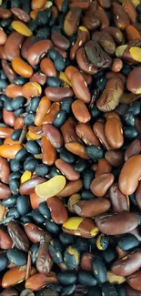 Close-up of mixed red and black beans creating vibrant texture.