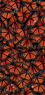 Vibrant wallpaper of monarch butterflies with orange and black wings in a dense pattern.