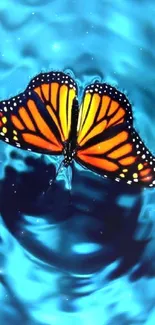 Vibrant monarch butterfly on blue water background.