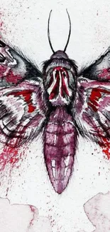 Watercolor moth with red and black details on mobile wallpaper.