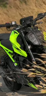 Neon green motorcycle in grassy landscape.