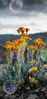 Orange wildflowers bloom against a mountainous backdrop, creating a serene nature scene.