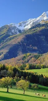 Mountain landscape with snowy peaks and lush green valleys under a blue sky.