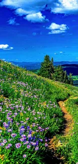 A vibrant mountain meadow with flowers under a blue sky.