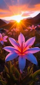 Vibrant pink flowers at mountain sunset.