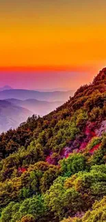 Vibrant orange sunset over a lush mountain landscape.