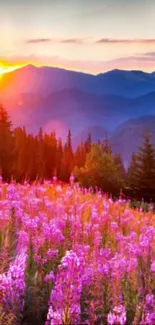 Vibrant sunset over mountains with pink wildflowers and trees.