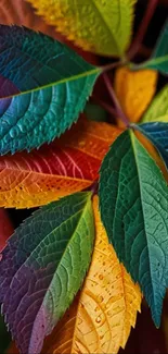 Vibrant multicolor leaf wallpaper with artistic pattern