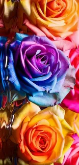 Vibrant roses with colorful reflection.