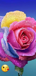 Dewy multicolor rose on gradient background.