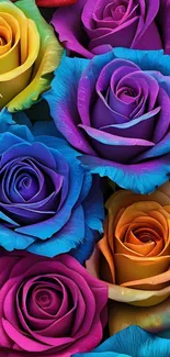 Multicolor roses wallpaper with vibrant petals.