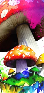 A vibrant and colorful artistic mushroom wallpaper with splashes of creativity.