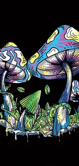 Vibrant, colorful mushroom illustration on a black background.