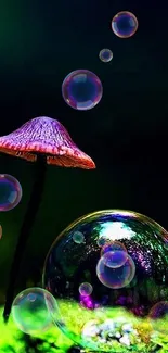 Colorful mushroom with reflective bubble in nature.