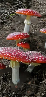 Red mushrooms on forest floor wallpaper with vibrant colors.