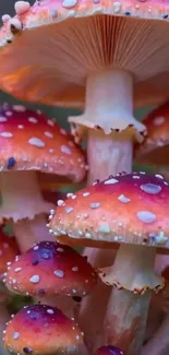 Colorful mushrooms in a forest setting, showcasing vibrant hues and intricate details.