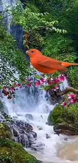 Red bird on branch with waterfall background.