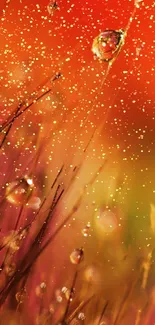 Vibrant bokeh with water droplets on an orange-hued nature background.