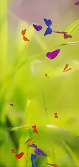 Colorful butterflies on green grass wallpaper.