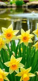 Yellow daffodils by a serene pond
